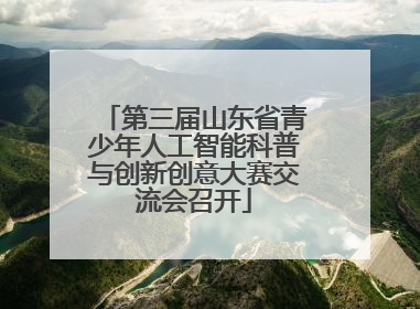 第三届山东省青少年人工智能科普与创新创意大赛交流会召开