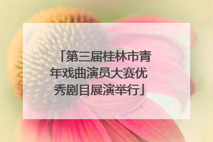 第三届桂林市青年戏曲演员大赛优秀剧目展演举行