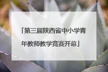 第三届陕西省中小学青年教师教学竞赛开幕