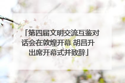 第四届文明交流互鉴对话会在敦煌开幕 胡昌升出席开幕式并致辞