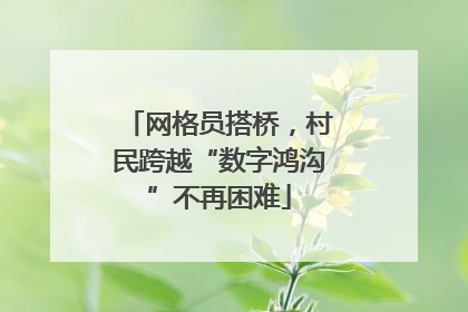 网格员搭桥，村民跨越“数字鸿沟”不再困难