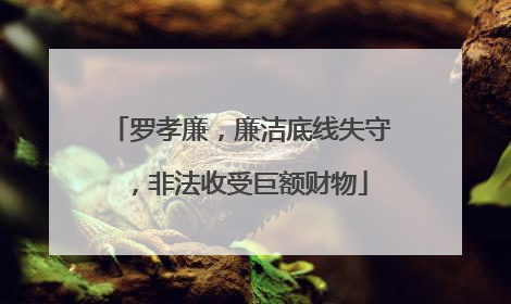 罗孝廉，廉洁底线失守，非法收受巨额财物