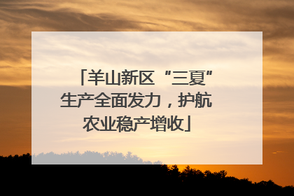 羊山新区“三夏”生产全面发力，护航农业稳产增收