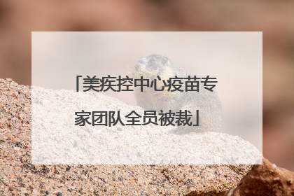 美疾控中心疫苗专家团队全员被裁