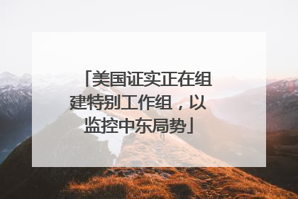 美国证实正在组建特别工作组，以监控中东局势