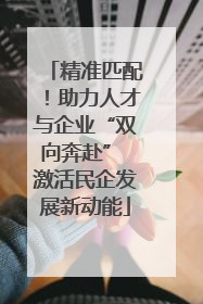 精准匹配！助力人才与企业“双向奔赴” 激活民企发展新动能