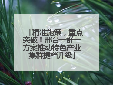 精准施策，重点突破！邢台一群一方案推动特色产业集群提档升级