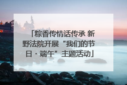粽香传情话传承 新野法院开展“我们的节日・端午”主题活动