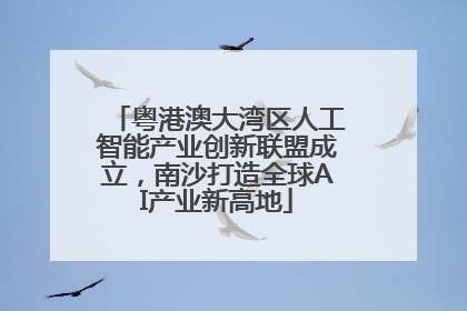 粤港澳大湾区人工智能产业创新联盟成立，南沙打造全球AI产业新高地
