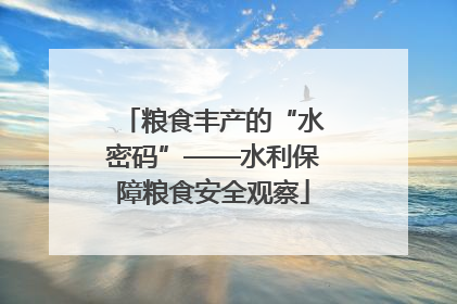 粮食丰产的“水密码”——水利保障粮食安全观察