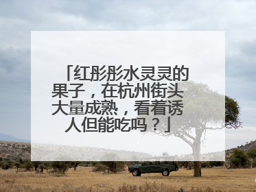 红彤彤水灵灵的果子，在杭州街头大量成熟，看着诱人但能吃吗？