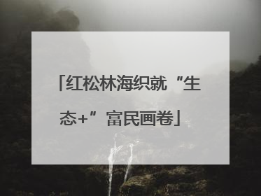 红松林海织就“生态+”富民画卷