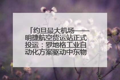 约旦最大机场——明捷航空货运站正式投运：罗地格工业自动化方案驱动中东物流未来新航向