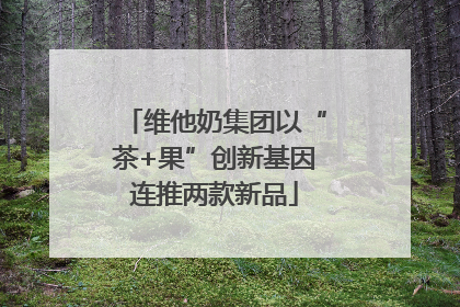 维他奶集团以“茶+果”创新基因连推两款新品