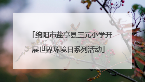 绵阳市盐亭县三元小学开展世界环境日系列活动