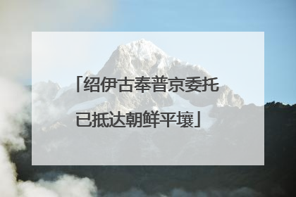 绍伊古奉普京委托已抵达朝鲜平壤