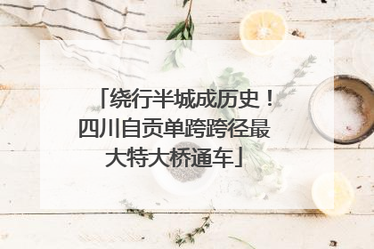 绕行半城成历史！四川自贡单跨跨径最大特大桥通车