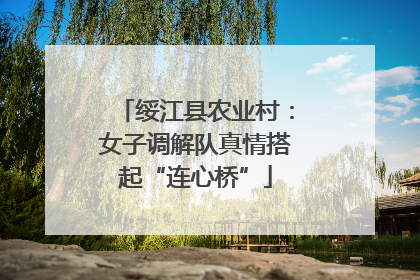 绥江县农业村：女子调解队真情搭起“连心桥”