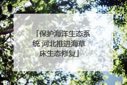 保护海洋生态系统 河北推进海草床生态修复
