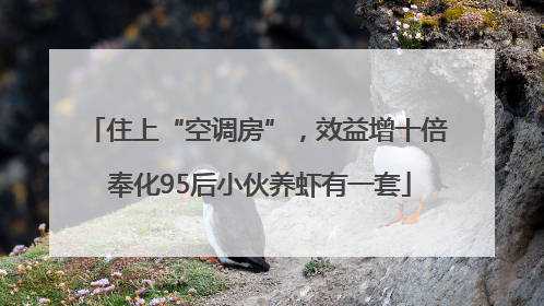 住上“空调房”，效益增十倍 奉化95后小伙养虾有一套