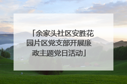 余家头社区安胜花园片区党支部开展廉政主题党日活动