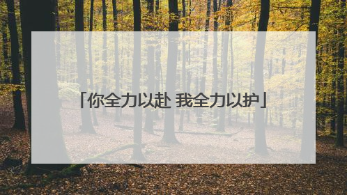 你全力以赴 我全力以护