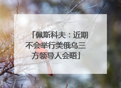 佩斯科夫：近期不会举行美俄乌三方领导人会晤
