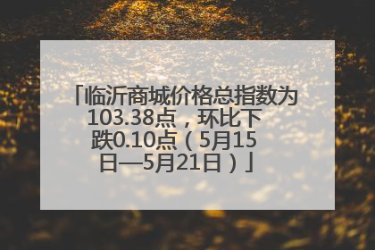 临沂商城价格总指数为103.38点，环比下跌0.10点（5月15日—5月21日）