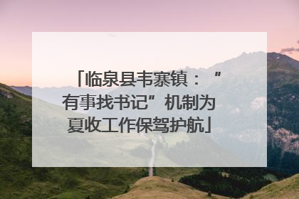 临泉县韦寨镇：“有事找书记”机制为夏收工作保驾护航