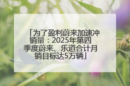 为了盈利蔚来加速冲销量：2025年第四季度蔚来、乐道合计月销目标达5万辆