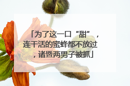 为了这一口“甜”，连干活的蜜蜂都不放过，诸暨两男子被抓