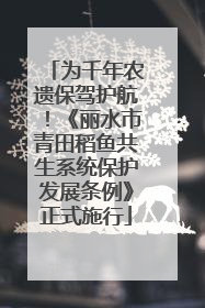 为千年农遗保驾护航！《丽水市青田稻鱼共生系统保护发展条例》正式施行