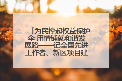 为民撑起权益保护伞 用情铺就和谐发展路——记全国先进工作者、新区项目建设中心干部卢小勇