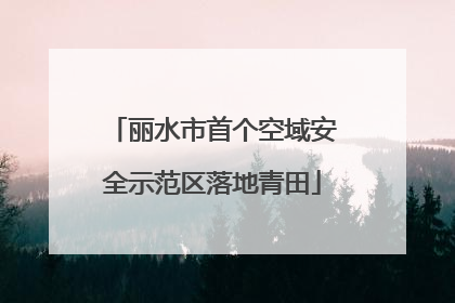 丽水市首个空域安全示范区落地青田