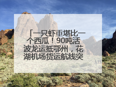 一只虾重堪比一个西瓜！90吨活波龙运抵鄂州，花湖机场货运航线突破100条