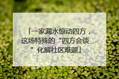 一家漏水惊动四方，这场特殊的“四方会谈”化解社区难题
