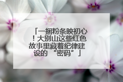 一捆粉条映初心！大别山这些红色故事里藏着纪律建设的 “密码”