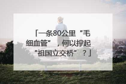 一条80公里“毛细血管”，何以撑起“祖国立交桥”？