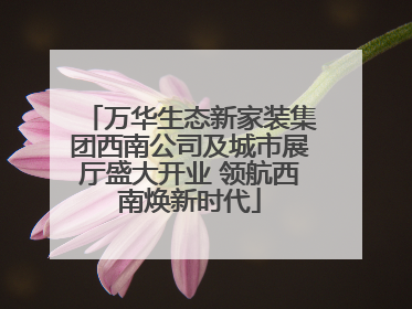 万华生态新家装集团西南公司及城市展厅盛大开业 领航西南焕新时代