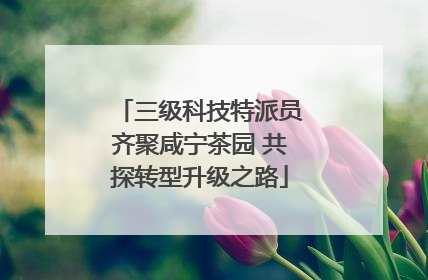 三级科技特派员齐聚咸宁茶园 共探转型升级之路