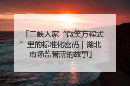 三峡人家“微笑方程式”里的标准化密码｜湖北市场监管所的故事
