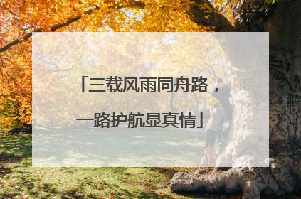 三载风雨同舟路，一路护航显真情