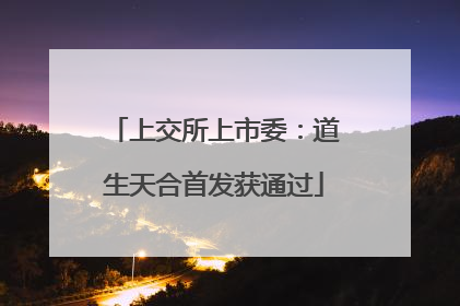 上交所上市委：道生天合首发获通过