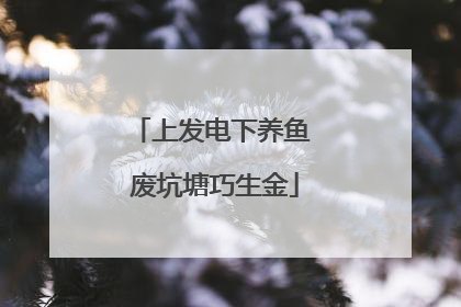 上发电下养鱼 废坑塘巧生金