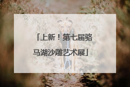 上新！第七届骆马湖沙雕艺术展