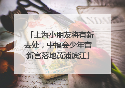上海小朋友将有新去处，中福会少年宫新宫落地黄浦滨江