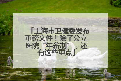 上海市卫健委发布重磅文件！除了公立医院“年薪制”，还有这些重点