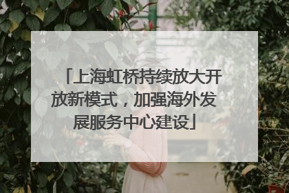 上海虹桥持续放大开放新模式，加强海外发展服务中心建设