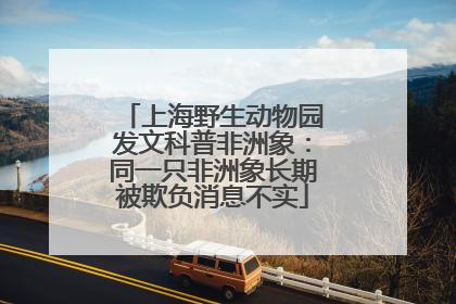 上海野生动物园发文科普非洲象：同一只非洲象长期被欺负消息不实