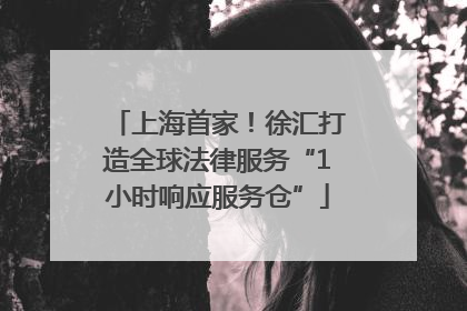 上海首家！徐汇打造全球法律服务“1小时响应服务仓”